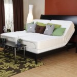 Leggett and Platt Prodigy Adjustable Bed