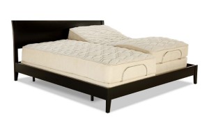 Leggett & Platt Prodigy Adjustable Bed with Massage