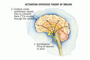 ( Dreams Activation Synthesis Theory - Image Courtesy of www.macalester.edu )