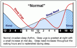( Sleep Urge and Circadian Rhythm - Image Courtesy of rebrn.com )