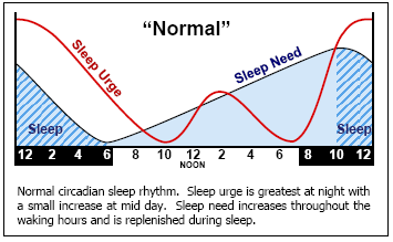 ( Sleep Urge and Circadian Rhythm - Image Courtesy of rebrn.com )