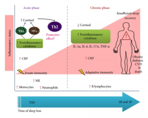 ( Cytokines and Sleep Loss - Image Courtesy of www.researchgate.net )