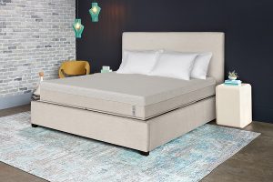 Sleep Number Performance p5 Review