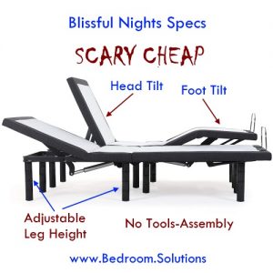 Blissful Nights Split King Adjustable Bed Review