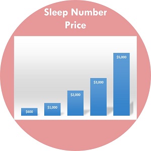 Sleep Number Mattress Prices