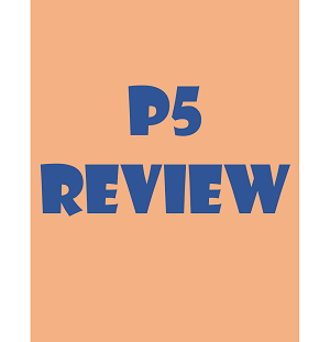 Sleep Number p5 Bed Review